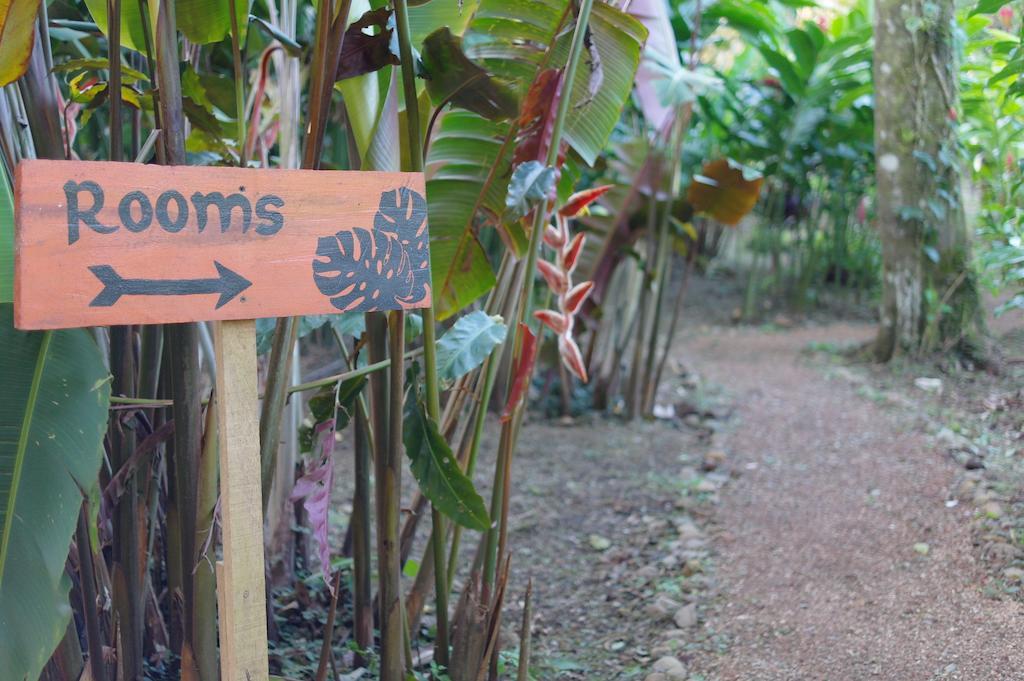 Finca Verde Lodge Bijagua Eksteriør bilde