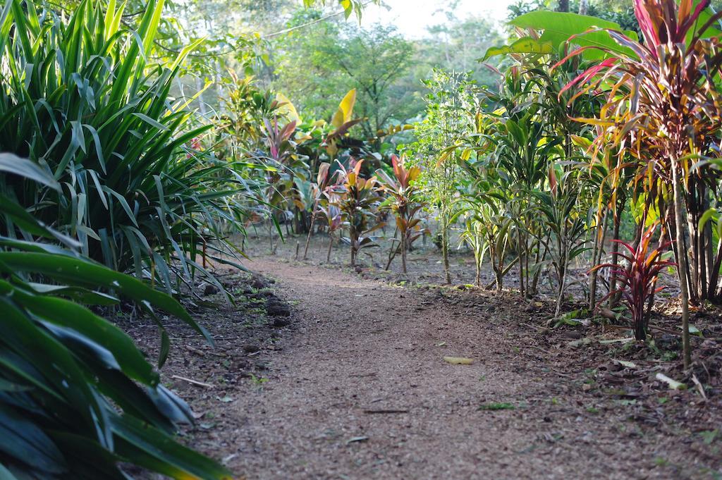 Finca Verde Lodge Bijagua Eksteriør bilde