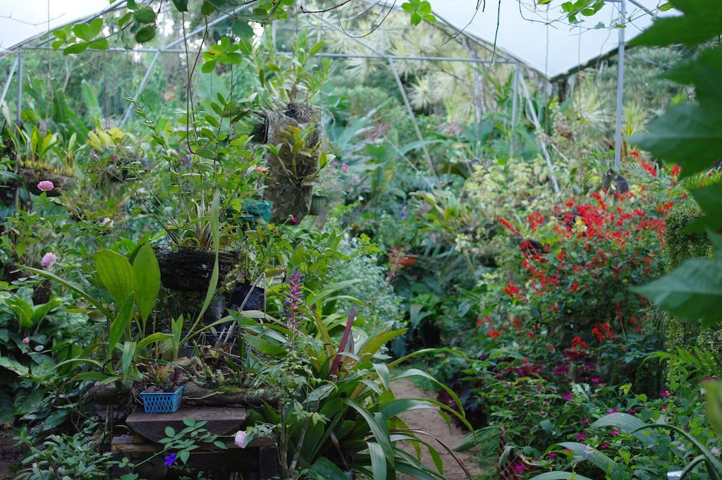 Finca Verde Lodge Bijagua Eksteriør bilde