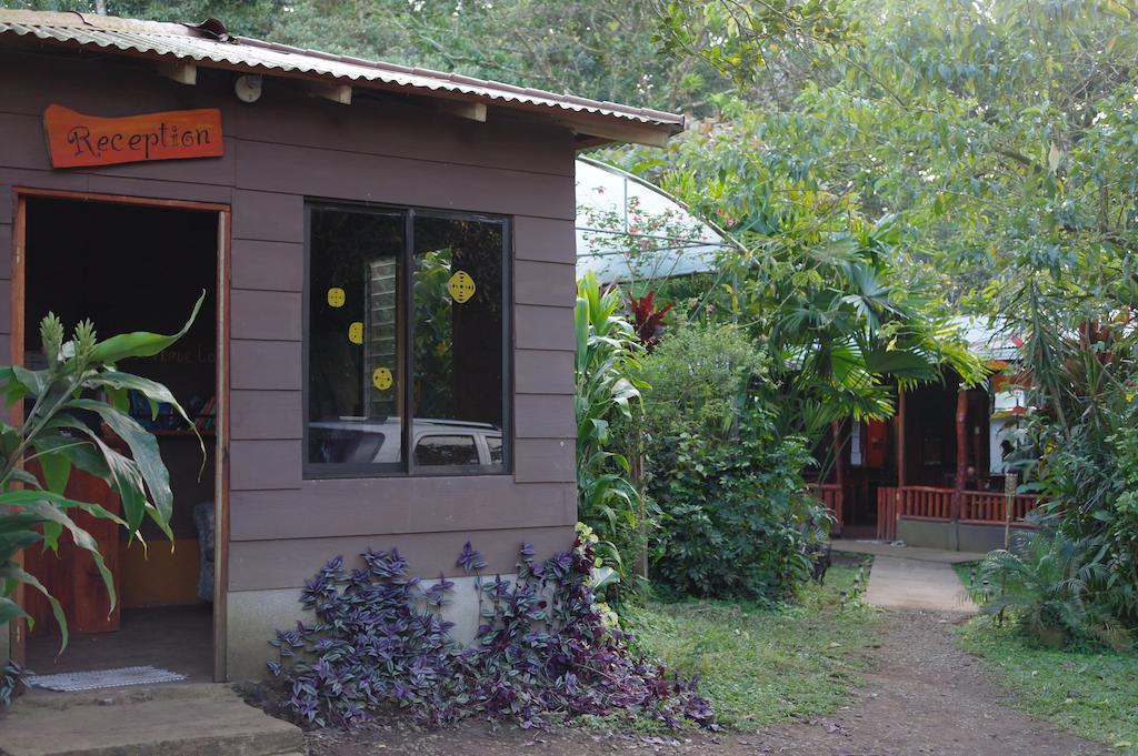 Finca Verde Lodge Bijagua Eksteriør bilde
