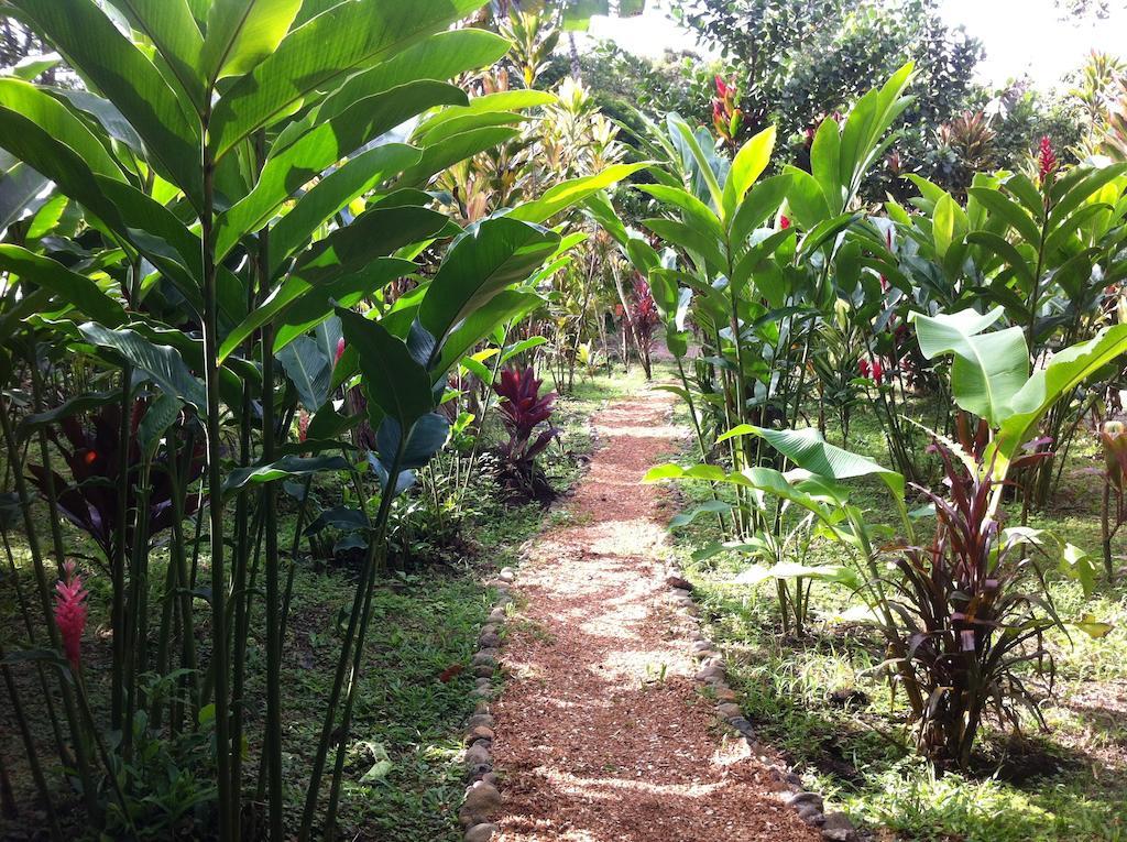 Finca Verde Lodge Bijagua Eksteriør bilde