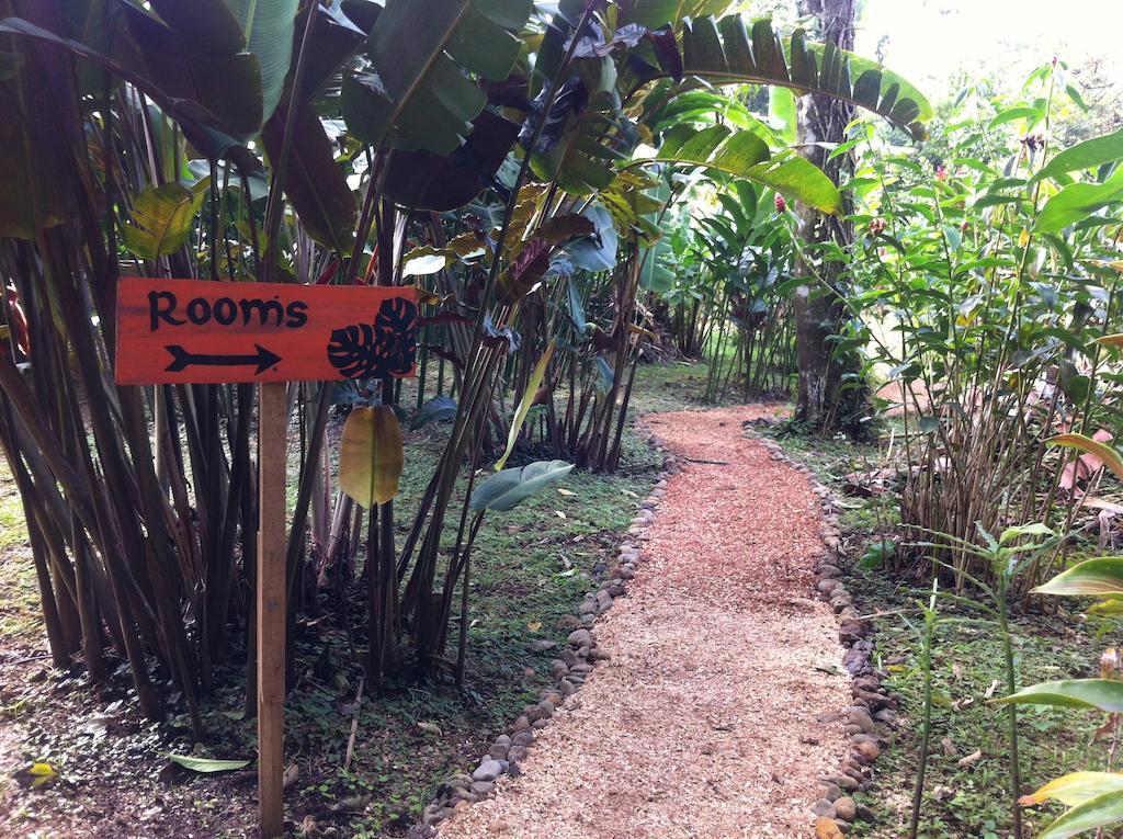 Finca Verde Lodge Bijagua Eksteriør bilde