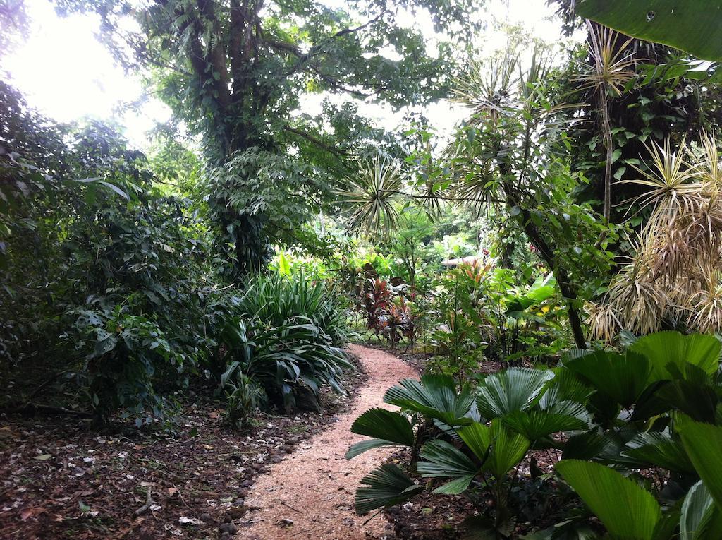 Finca Verde Lodge Bijagua Eksteriør bilde