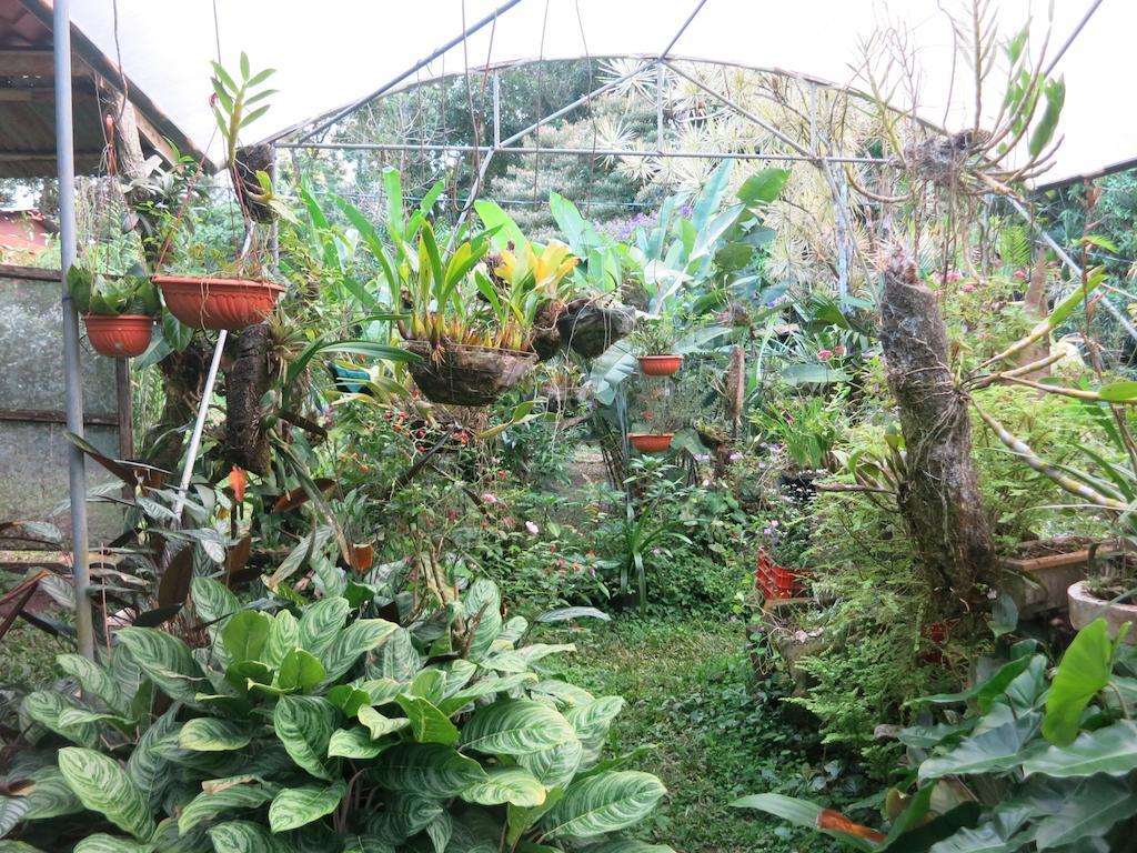 Finca Verde Lodge Bijagua Eksteriør bilde