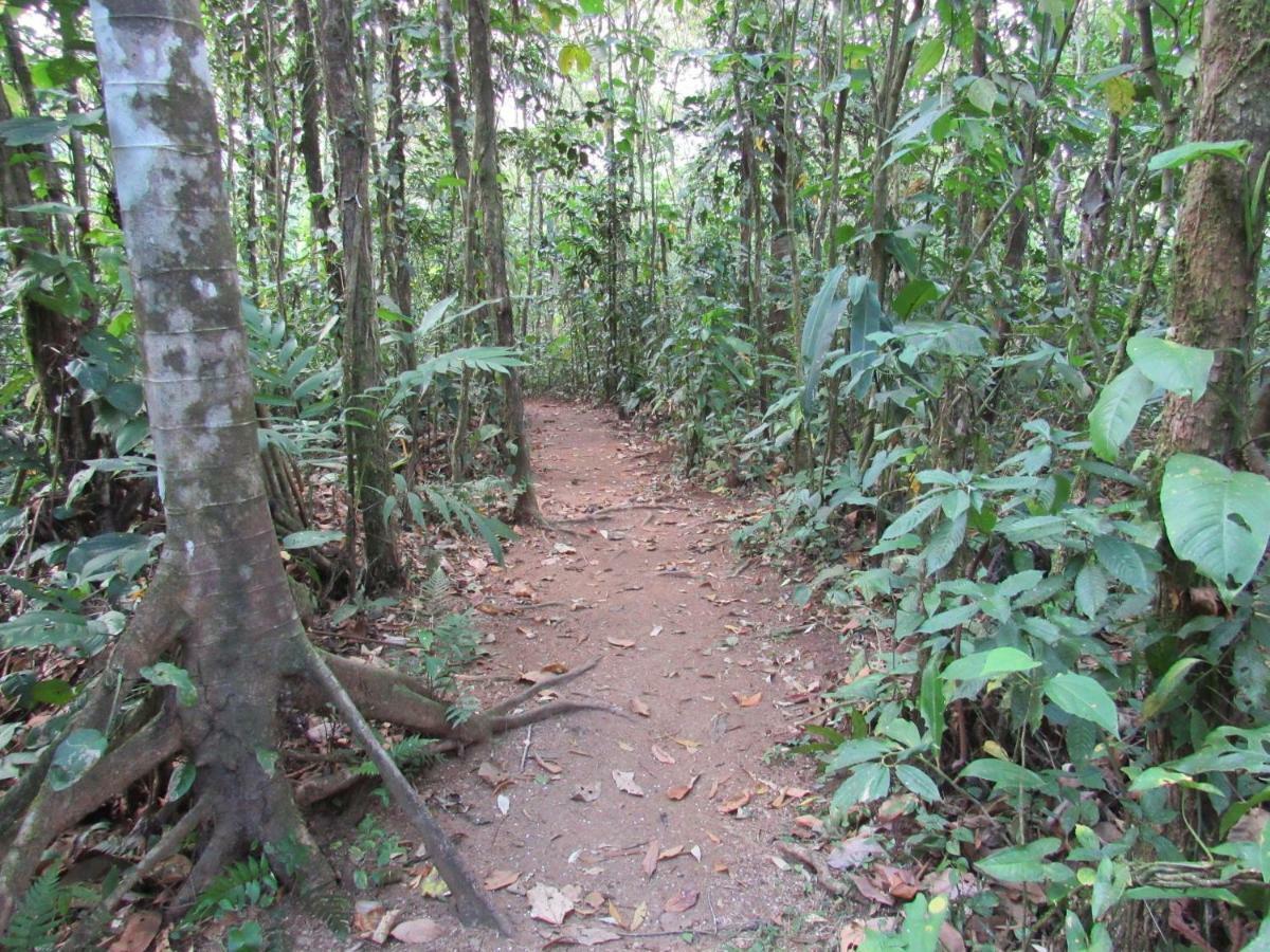 Finca Verde Lodge Bijagua Eksteriør bilde