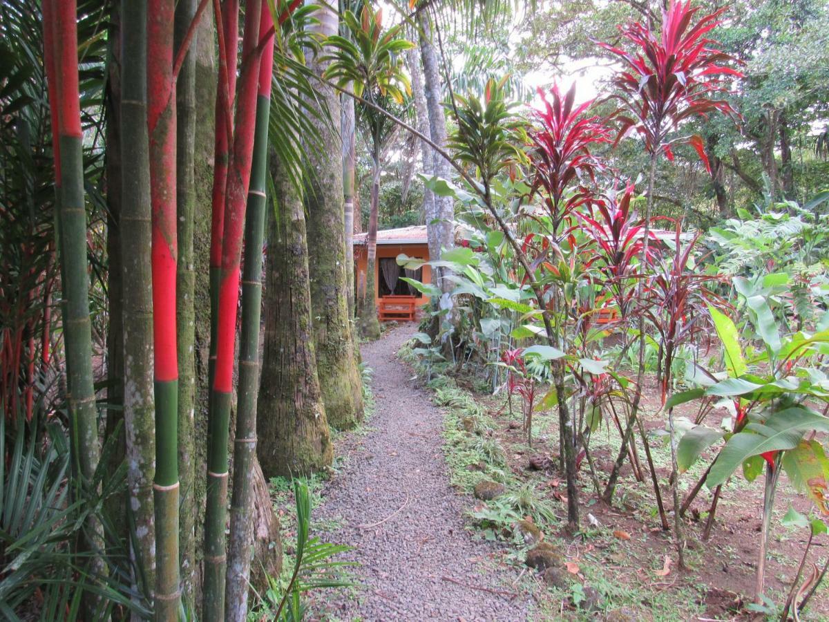 Finca Verde Lodge Bijagua Eksteriør bilde