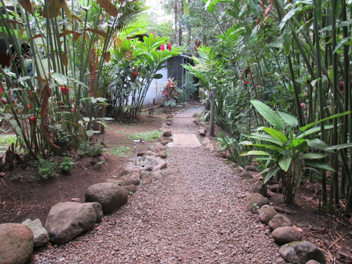 Finca Verde Lodge Bijagua Eksteriør bilde