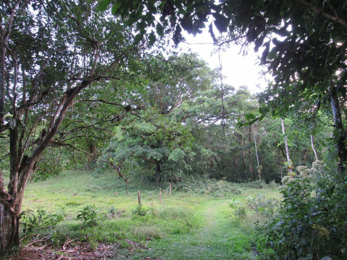 Finca Verde Lodge Bijagua Eksteriør bilde