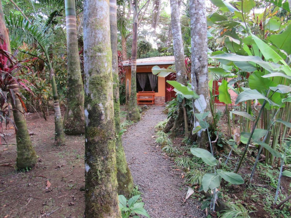 Finca Verde Lodge Bijagua Eksteriør bilde